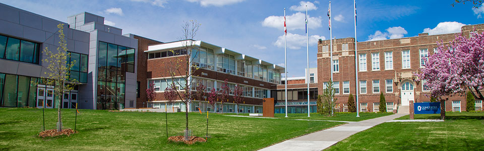 کنکوردیا دو پردیس در مونترال دارد - پردیس سر جورج ویلیامز در مرکز شهر و پردیس لویولا در محله نوتردام دو گریس. این پردیس ها میزبان دانشکده ها، مدارس و بخش های مختلف هستند.