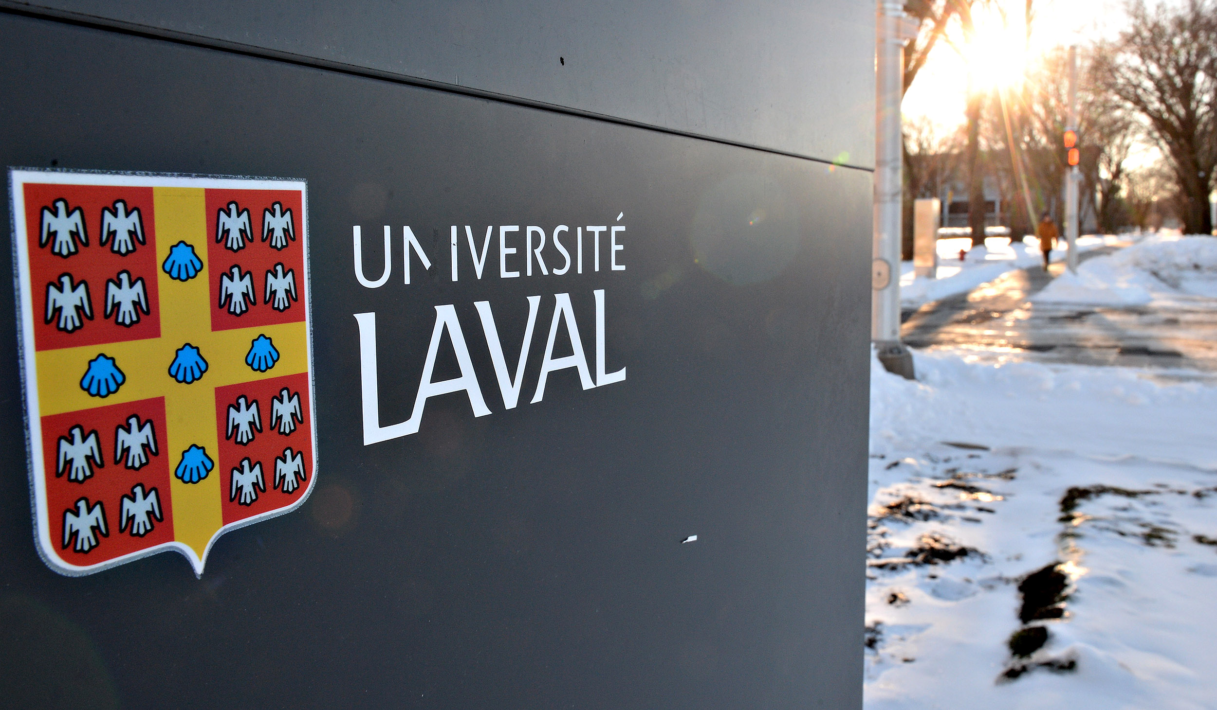 دانشگاه لاوال یا Université Laval یک دانشگاه تحقیقاتی عمومی فرانسوی زبان است که در شهر کبک، کانادا واقع شده است.