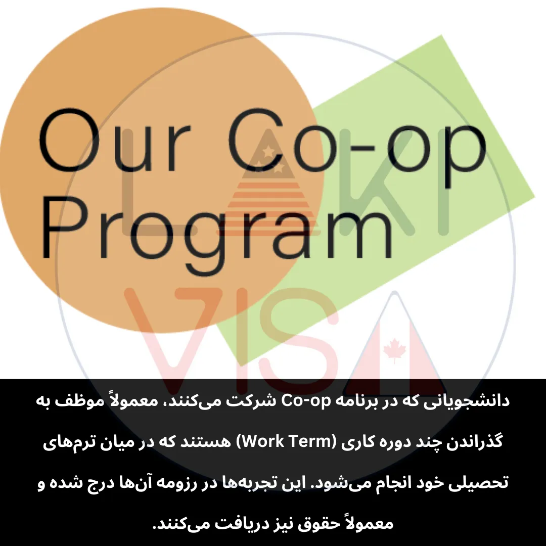 دانشجویانی که در برنامه Co-op شرکت می‌کنند، معمولاً موظف به گذراندن چند دوره کاری (Work Term) هستند که در میان ترم‌های تحصیلی خود انجام می‌شود. این تجربه‌ها در رزومه آن‌ها درج شده و معمولاً حقوق نیز دریافت می‌کنند.